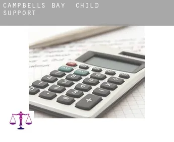Campbells Bay  child support