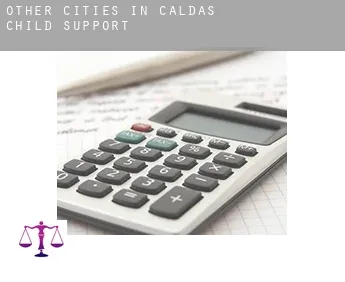 Other cities in Caldas  child support