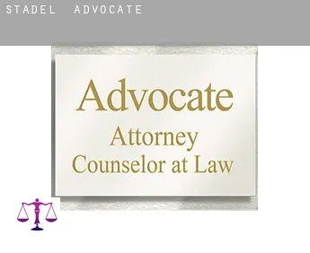 Stadel  advocate