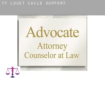Ty Louët  child support