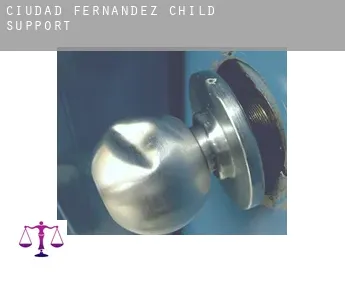 Ciudad Fernández  child support