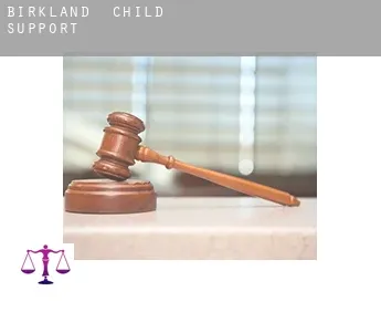 Birkland  child support