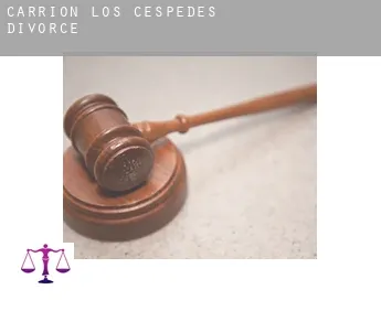 Carrión de los Céspedes  divorce