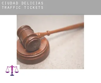 Ciudad Delicias  traffic tickets