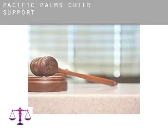 Pacific Palms  child support
