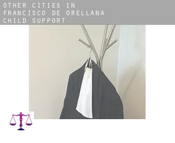 Other cities in Francisco de Orellana  child support