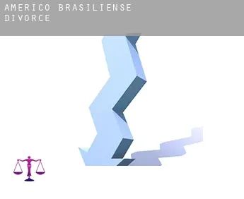 Américo Brasiliense  divorce