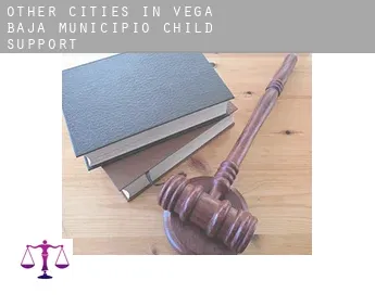 Other cities in Vega Baja Municipio  child support