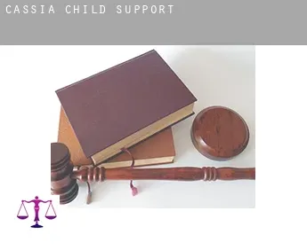 Cássia  child support