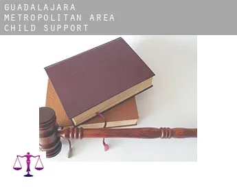 Guadalajara Metropolitan Area  child support