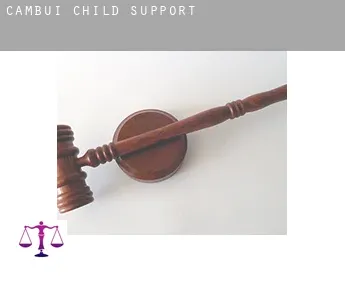 Cambuí  child support