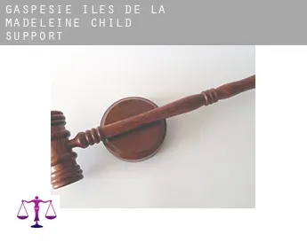 Gaspésie-Îles-de-la-Madeleine  child support