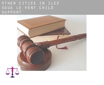 Other cities in Iles Sous-le-Vent  child support