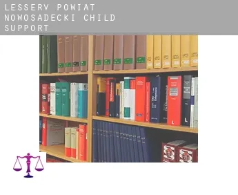 Powiat nowosadecki (Lesser Poland Voivodeship)  child support