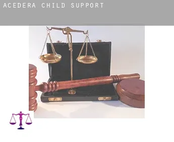 Acedera  child support