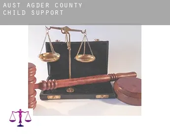 Aust-Agder county  child support