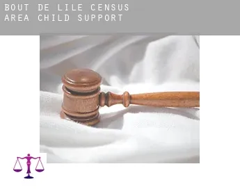 Bout-de-l'Île (census area)  child support