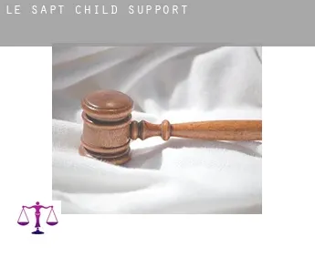 Le Sapt  child support