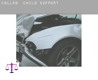 Callan  child support