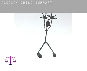 Accolay  child support