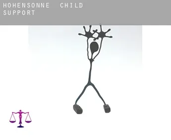 Hohensonne  child support