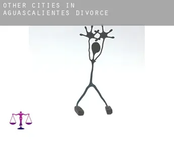 Other cities in Aguascalientes  divorce