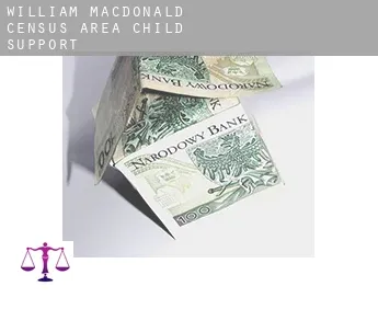 William-MacDonald (census area)  child support