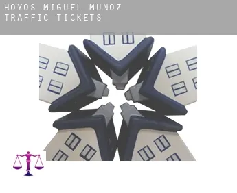Hoyos de Miguel Muñoz  traffic tickets