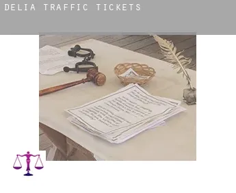 Delia  traffic tickets