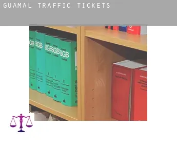 Guamal  traffic tickets