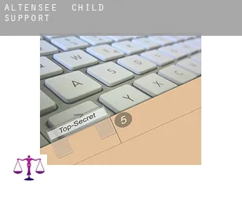 Altensee  child support