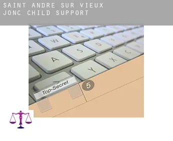 Saint-André-sur-Vieux-Jonc  child support