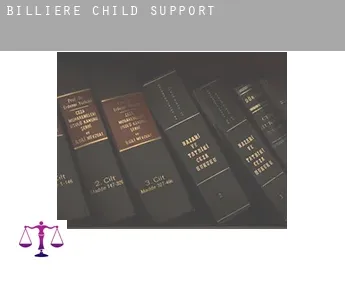 Billière  child support