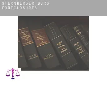 Sternberger Burg  foreclosures