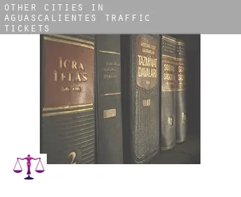 Other cities in Aguascalientes  traffic tickets