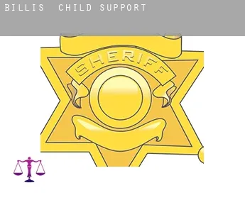 Billis  child support