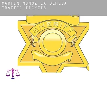 Martín Muñoz de la Dehesa  traffic tickets