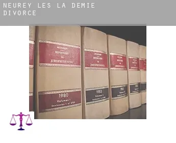 Neurey-lès-la-Demie  divorce