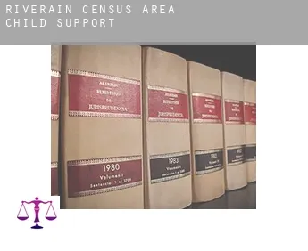 Riverain (census area)  child support