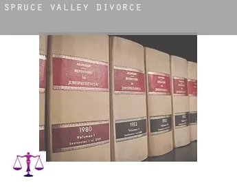 Spruce Valley  divorce