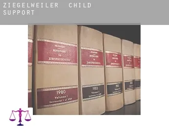 Ziegelweiler  child support
