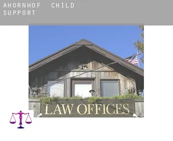 Ahornhof  child support