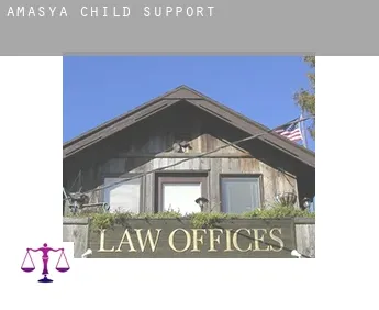 Amasya  child support