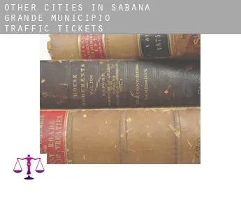 Other cities in Sabana Grande Municipio  traffic tickets