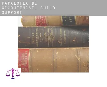 Papalotla de Xicohtencatl  child support