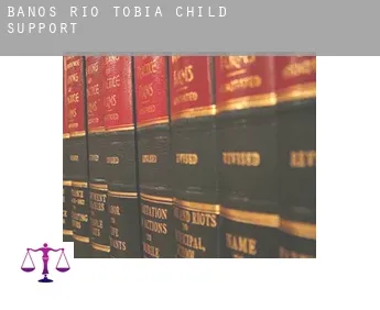 Baños de Río Tobía  child support
