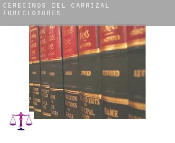 Cerecinos del Carrizal  foreclosures
