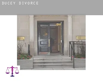 Ducey  divorce