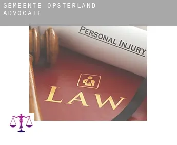 Gemeente Opsterland  advocate