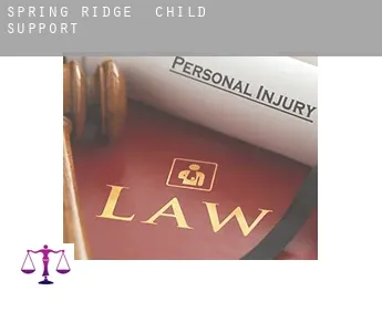 Spring Ridge  child support
